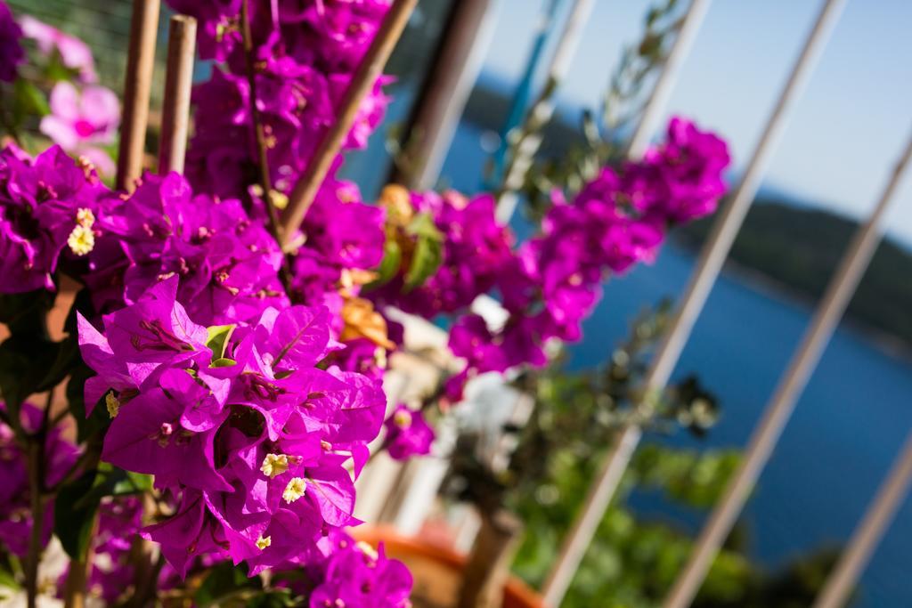 Apartment Love And Hope Dubrovnik Exterior photo